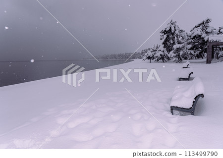 Photographing the snowy lakeside at Takagihama Sunny Beach in Makino-cho, Takashima City, Shiga Prefecture, north of Lake Biwa 113499790