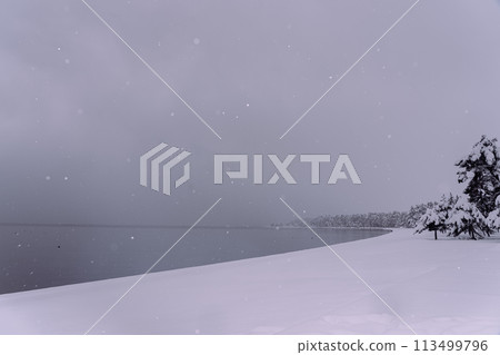 拍攝湖北滋賀縣高島市牧野町高木浜陽光海灘的雪湖畔 113499796