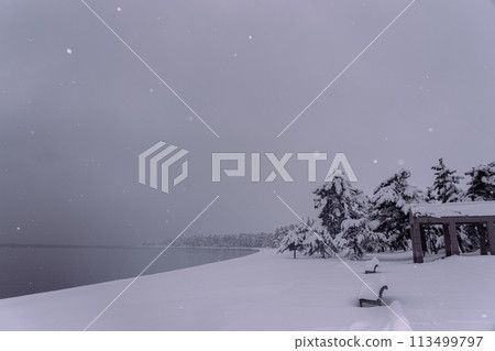 Photographing the snowy lakeside at Takagihama Sunny Beach in Makino-cho, Takashima City, Shiga Prefecture, north of Lake Biwa 113499797