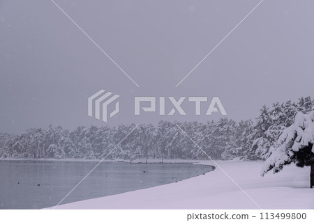 Photographing the snowy lakeside at Takagihama Sunny Beach in Makino-cho, Takashima City, Shiga Prefecture, north of Lake Biwa Photographing the snowy lakeside at Takagihama Sunny Beach in Makino-cho, Takashima City, Shiga Prefecture, north of Lake Biwa 113499800