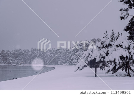 Photographing the snowy lakeside at Takagihama Sunny Beach in Makino-cho, Takashima City, Shiga Prefecture, north of Lake Biwa Photographing the snowy lakeside at Takagihama Sunny Beach in Makino-cho, Takashima City, Shiga Prefecture, north of Lake Biwa 113499801