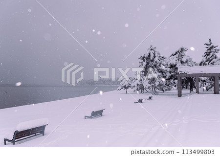 Photographing the snowy lakeside at Takagihama Sunny Beach in Makino-cho, Takashima City, Shiga Prefecture, north of Lake Biwa Photographing the snowy lakeside at Takagihama Sunny Beach in Makino-cho, Takashima City, Shiga Prefecture, north of Lake Biwa 113499803