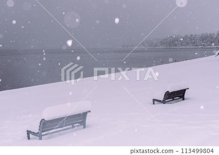 拍攝湖北滋賀縣高島市牧野町高木浜陽光海灘的雪湖畔 拍攝湖北滋賀縣高島市牧野町高木浜陽光海灘的雪湖畔 113499804