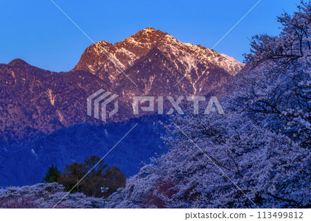 Sakura和Kai Komagatake 113499812