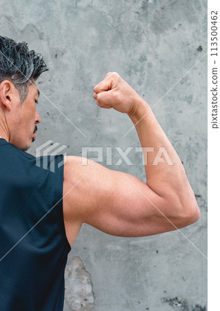 Male muscle 113500462