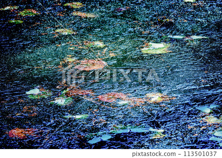 Photographing the frozen winter scenery of Koizawa Pond at Oharano Shrine in Nishikyo Ward, Kyoto City 113501037