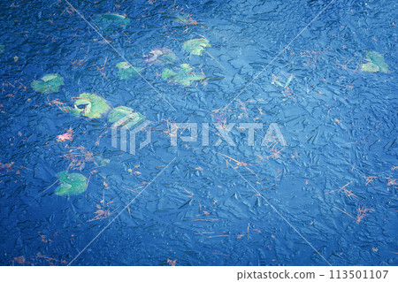 拍攝京都市西京區大原野神社小井澤池塘的冰凍冬景 113501107