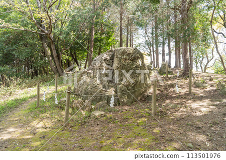 龍王山頂的岩石(岡山縣岡山市) 龍王山頂的岩石(岡山縣岡山市) 113501976