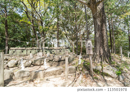 龍神社（岡山縣岡山市） 113501978