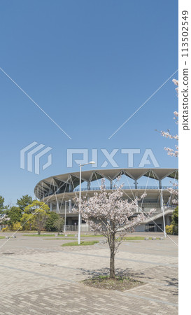 春天的櫻花與福田電競 千葉市曾我體育公園 春天的櫻花與福田電競 千葉市曾我體育公園 113502549
