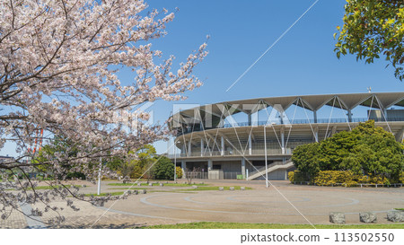 Spring cherry blossoms and Fukuda Denshi Arena at Soga Sports Park in Chiba City Spring cherry blossoms and Fukuda Denshi Arena at Soga Sports Park in Chiba City 113502550
