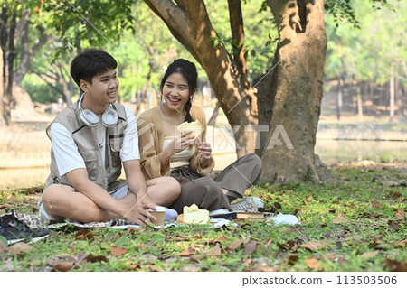Happy young couple sitting on a picnic blanket in a public park and talking to each other 113503506