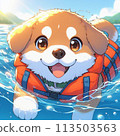 狗在水裡玩 113503563