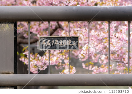 Yodo Waterway, Kyoto 113503710