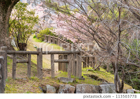 京都淀城遺址 京都淀城遺址 113503778