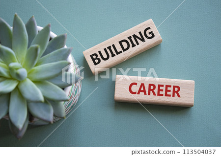 Building Career symbol. Wooden blocks with words Building Career. Beautiful grey green background with succulent plant. Business and Building Career concept. Copy space. 113504037