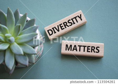 Diversity matters symbol. Wooden blocks with words Diversity matters. Beautiful grey green background with succulent plant. Business and Diversity matters concept. Copy space. 113504261
