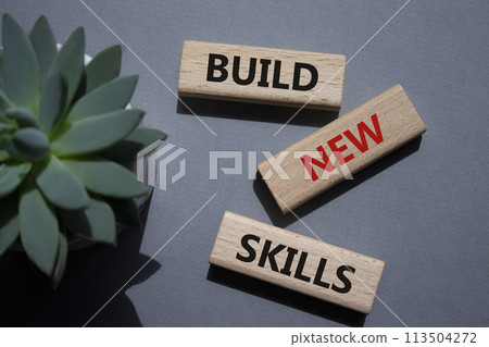 Build New skills symbol. Concept word Build New skills on wooden blocks. Beautiful grey background. Business and Build New skills concept. Copy space 113504272