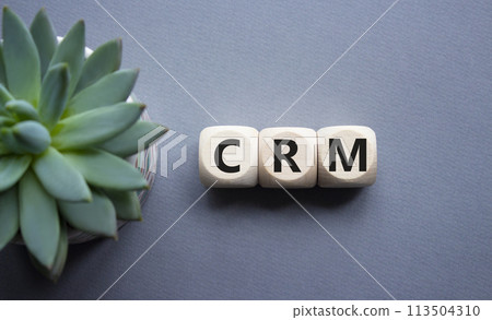 CRM - Customer relationship management symbol. Concept word CRM on wooden cubes. Beautiful grey background with succulent plant. Business and CRM concept. Copy space. CRM - Customer relationship management symbol. Concept word CRM on wooden cubes. Beautiful grey background with succulent plant. Business and CRM concept. Copy space. 113504310