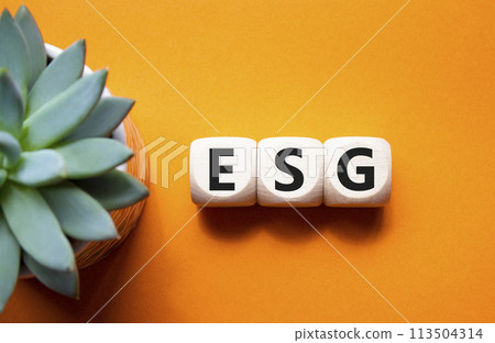 GSG - Environmental, Social and Governance symbol. Concept word GSG on wooden cubes. Beautiful orange background with succulent plant. Business and GSG concept. Copy space. 113504314