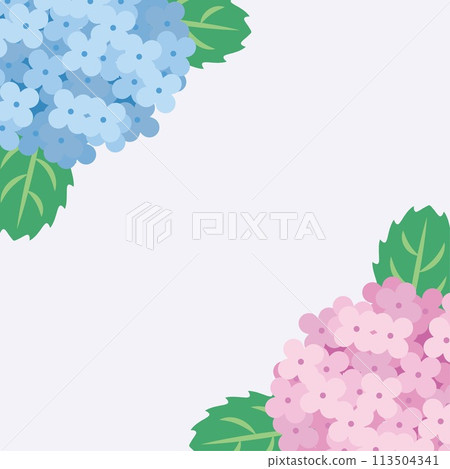 繡球花方形框架 繡球花方形框架 113504341