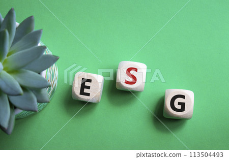 GSG - Environmental, Social and Governance symbol. Concept word GSG on wooden cubes. Beautiful green background with succulent plant. Business and GSG concept. Copy space. 113504493