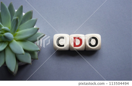 CDO - Collateralized Debt Obligation symbol. Wooden cubes with word CDO. Beautiful grey background with succulent plant. Business and Collateralized Debt Obligation concept. Copy space. 113504494