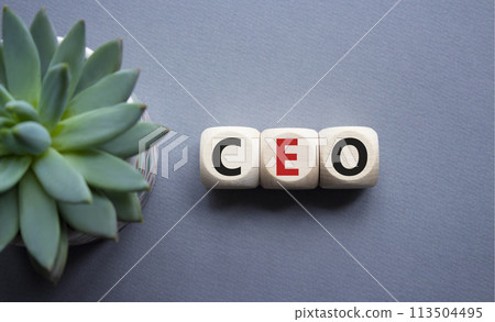 CEO - chief executive officer symbol. Concept word CEO on wooden cubes. Beautiful grey background with succulent plant. Business and CEO concept. Copy space. CEO - chief executive officer symbol. Concept word CEO on wooden cubes. Beautiful grey background with succulent plant. Business and CEO concept. Copy space. 113504495