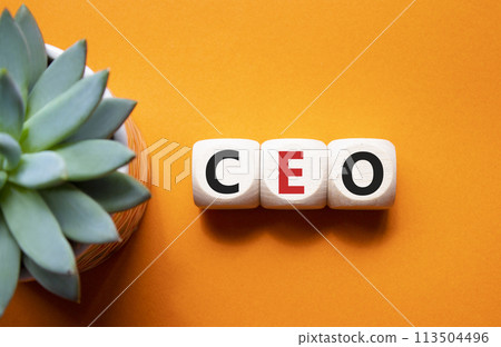 CEO - chief executive officer symbol. Concept word CEO on wooden cubes. Beautiful orange background with succulent plant. Business and CEO concept. Copy space. CEO - chief executive officer symbol. Concept word CEO on wooden cubes. Beautiful orange background with succulent plant. Business and CEO concept. Copy space. 113504496