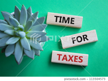 Time for Taxes symbol. Concept words Time for Taxes on wooden blocks. Beautiful green background with succulent plant. Business and Time for Taxes concept. Copy space. Time for Taxes symbol. Concept words Time for Taxes on wooden blocks. Beautiful green background with succulent plant. Business and Time for Taxes concept. Copy space. 113504573