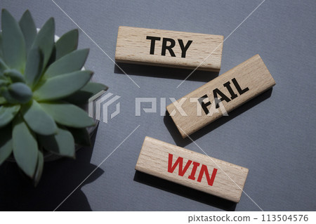 Try Fail Win symbol. Concept words Try Fail Win on wooden blocks. Beautiful grey background with succulent plant. Business and Try Fail Win concept. Copy space. 113504576