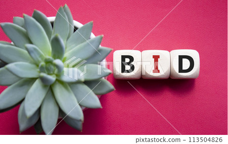 BID symbol. Concept word BID on wooden blocks. Beautiful red background with succulent plant. Business and BID concept. Copy space BID symbol. Concept word BID on wooden blocks. Beautiful red background with succulent plant. Business and BID concept. Copy space 113504826