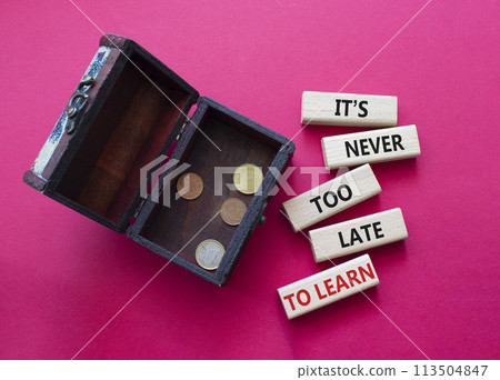 It is Never to Late to Learn symbol. Wooden blocks with words It is Never to Late to Learn. Beautiful red background with money box. Business and It is Never to Late to Learn. Copy space. 113504847