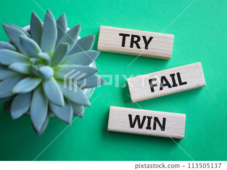 Try Fail Win symbol. Concept words Try Fail Win on wooden blocks. Beautiful green background with succulent plant. Business and Try Fail Win concept. Copy space. 113505137