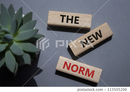 The new norm symbol. Concept words The new norm on wooden blocks. Beautiful grey background with succulent plant. Business and The new norm concept. Copy space. The new norm symbol. Concept words The new norm on wooden blocks. Beautiful grey background with succulent plant. Business and The new norm concept. Copy space. 113505200