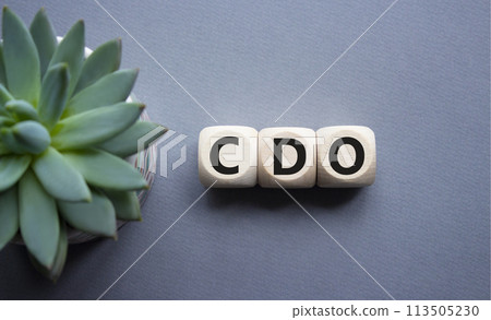 CDO - Collateralized Debt Obligation symbol. Wooden cubes with word CDO. Beautiful grey background with succulent plant. Business and Collateralized Debt Obligation concept. Copy space. CDO - Collateralized Debt Obligation symbol. Wooden cubes with word CDO. Beautiful grey background with succulent plant. Business and Collateralized Debt Obligation concept. Copy space. 113505230