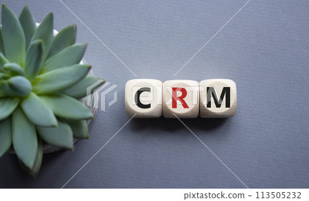 CRM - Customer relationship management symbol. Concept word CRM on wooden cubes. Beautiful grey background with succulent plant. Business and CRM concept. Copy space. 113505232