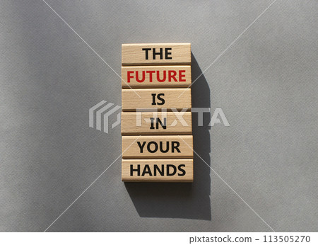The Future is in your Hands symbol. Concept words The Future is in your Hands on wooden blocks. Beautiful grey background. Business concept. Copy space. 113505270