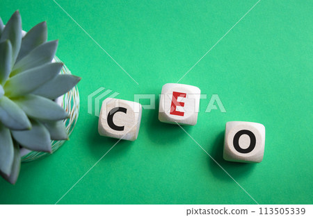 CEO - chief executive officer symbol. Concept word CEO on wooden cubes. Beautiful green background with succulent plant. Business and CEO concept. Copy space. CEO - chief executive officer symbol. Concept word CEO on wooden cubes. Beautiful green background with succulent plant. Business and CEO concept. Copy space. 113505339