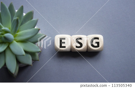 GSG - Environmental, Social and Governance symbol. Concept word GSG on wooden cubes. Beautiful grey background with succulent plant. Business and GSG concept. Copy space. GSG - Environmental, Social and Governance symbol. Concept word GSG on wooden cubes. Beautiful grey background with succulent plant. Business and GSG concept. Copy space. 113505340