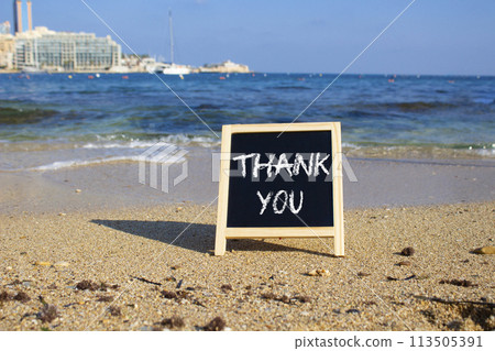 Thank you symbol. Concept word Thank you on black chalk background. Beautiful sea background. Business and Thank you concept. Copy space. 113505391