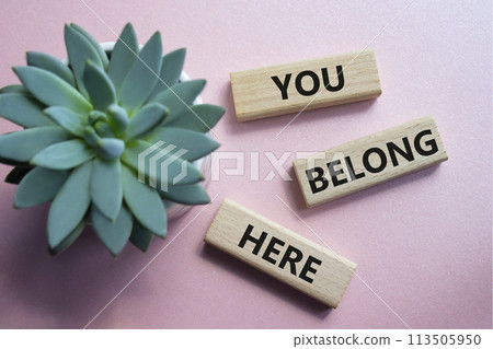 You belong here symbol. Wooden blocks with words You belong here. Beautiful pink background with succulent plant. Business and You belong here concept. Copy space. 113505950
