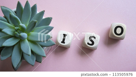 ISO standards quality control symbol. Concept word ISO on wooden cubes. Beautiful pink background with succulent plant. Business and ISO concept. Copy space. 113505976