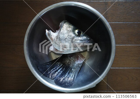 Filleting a 72cm Suzuki 113506563