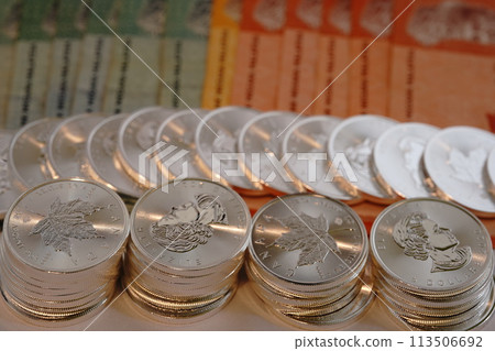 Co-starring of real assets, silver coins and paper money 113506692