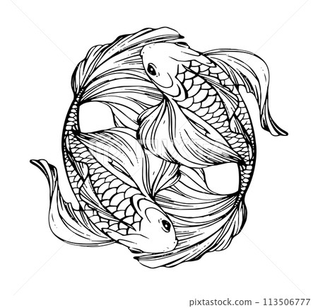 Pisces zodiac sign, boho line tattoo, two beautiful fishes in a circle. Vector engraving stylization, horoscope element water, hand drawn illustration isolated on white background. 113506777