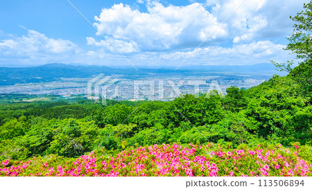 西藏公園展望廣場 西藏公園展望廣場 113506894