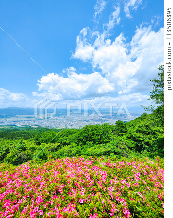 Nishizao Park Observation Plaza Nishizao Park Observation Plaza 113506895