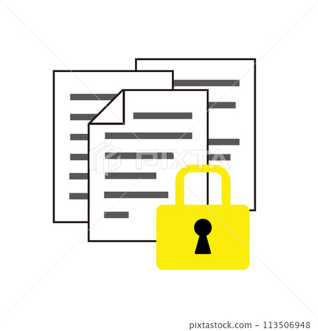 Document and padlock icon 113506948