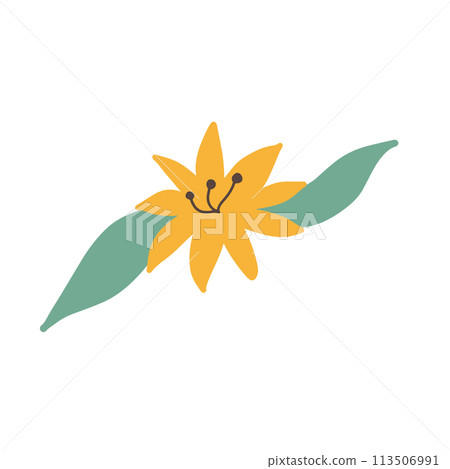 Colorful floral doodle illustration in a trendy style Colorful floral doodle illustration in a trendy style 113506991